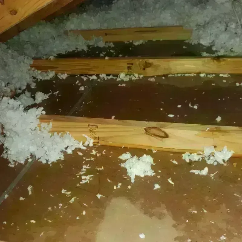 Attic Water Damage in Moyock, NC