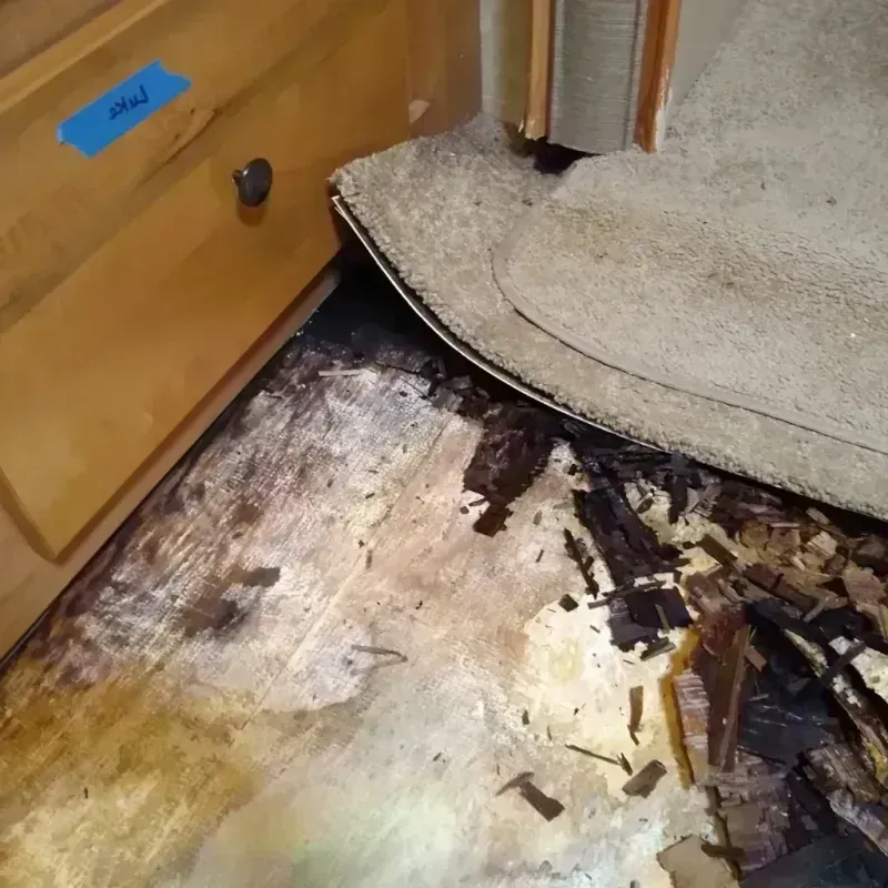 Wood Floor Water Damage in Moyock, NC